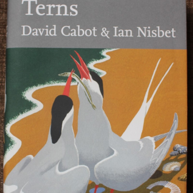 Terns, by David Cabot and Ian Nisbet